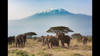 Mt Kilimanjaro with the American Alpine Institute [upl. by Alyat724]