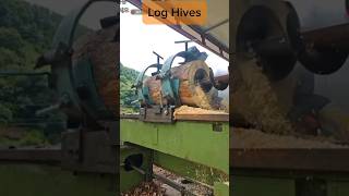 Log Hive  bee shortvideo honeybee honey कसरी बनाईन्छ डुड काेरिया मा हार्नुहाेस । [upl. by Nnylirej617]