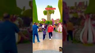 Flower 🌹🌼🌹 city fulo ki ghati love song flowers garden bollywood stoxwins challenge [upl. by Verile225]