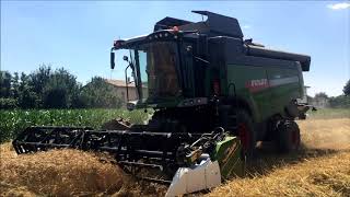 Trebbiatura frumento con la nuovissima Fendt 5275c [upl. by Caesaria385]