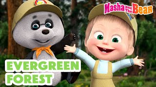 Masha and the Bear 2024 🌱 Evergreen Forest 🌳🌲 Best episodes cartoon collection 🎬 [upl. by Direj]