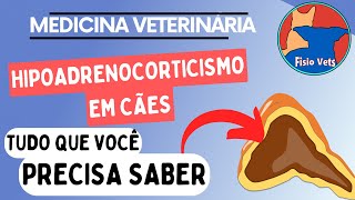 Hipoadrenocorticismo em cães Doença de Addison Fisiopatologia Sinais clínicos e Diagnóstico [upl. by Theodor954]