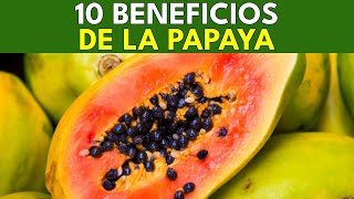 10 Beneficios Saludables de la Papaya  BENEFICIOS SALUDABLES [upl. by Lativa]