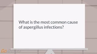 What is the most common aspergillus infection [upl. by Teiluj590]