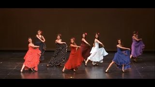 Flamenco  quotBailandoquot ShakallisDance2014 [upl. by Inaja]