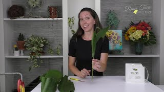 Aspidistra Techniques Framing Floral Techniques Companion Video [upl. by Dhruv]