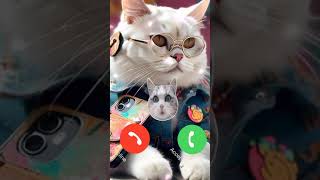 Cute Cat Ringtone Effect 🎶 🎶🎶 sounds effect catcalling shorts ringtone [upl. by Attirb59]