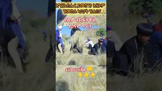 የሉም ጠፈተዋል ሲሉ ኖረን duet abelbirhanuየወይኗልጅ habesha ethioforumኢትዮፎረም amharic yetbitubeየተንቢ [upl. by Ikram]