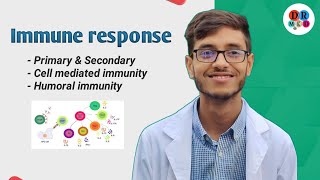 Cell mediated immunity  Humoral immunity  Immune response  Microbiology bangla lecture [upl. by Agn572]