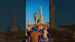 Mera Nobi Hai ytshorts islamicprayer [upl. by Wallack]