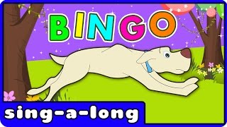 BINGO  Nursery Rhymes Songs With Lyrics And Action By ZippyToons TV [upl. by Dareg924]