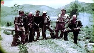 Best Vietnam Movies  Lives of the jungle  War Movies  Full Length English Subtitles [upl. by Frodi]