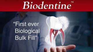 Biodentine wide range of applications [upl. by Erickson732]