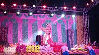 dolara dolara dola Raj dance gurop 8250444958 [upl. by Thinia689]