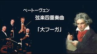 ベートーヴェン 弦楽四重奏曲 ≪大フーガ≫ 変ロ長調 作品133 Beethoven String Quartet “Grose Fuge” [upl. by Anerec]