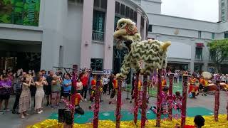 Cny 2024 Lion Dance High Pole Bugis Junction Chinese New Year 初六 15 Feb 2024 [upl. by Lissak]