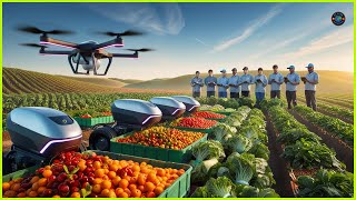 MODERN AGRICULTURE revolutionizes harvesting [upl. by Phares50]