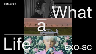 EXOSC 세훈amp찬열 quotWhat a lifequot Triple Title MV Trailer [upl. by Onitselec431]