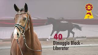 40 Dimaggio Black  Liberator [upl. by Enelhtac236]