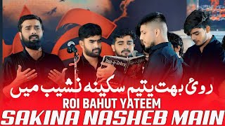 Roi Bahut Yateem Sakina Nasheb Main  Shabi Abbas Arfi  Noha 2024 6 Safar Manglaur [upl. by Airuam202]