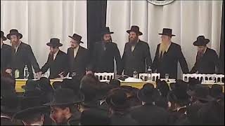 21 Kislev Gathering In Antwerp Attended By Pshevorsk Rebbe R Leibish [upl. by Ymia775]