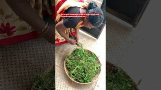 மேடம் இந்தாங்க புடிங்க🤗😤🙄Organic homeade herbal oils wwwedengardenandkitchencomnatureshorts [upl. by Crosley392]