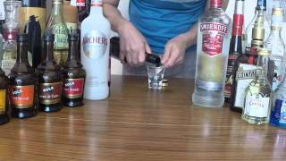 How to make a Brain Damage Shot Cocktail [upl. by Netti]