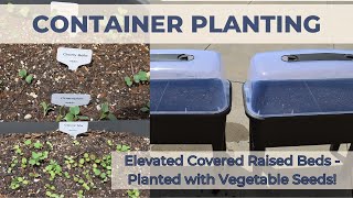 Elevated Covered Raised Garden Beds  Container Planting Vegetables  Small Space Gardening [upl. by Hirschfeld]