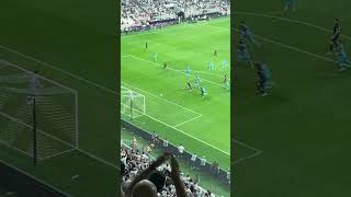 Ciro İmmobile GOAL shortvideo [upl. by Lad467]