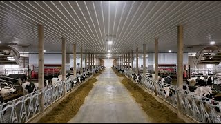 Robotic Dairy Installation  From Construction to Completion [upl. by Nevile]