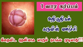 pregnancy symptoms first week in tamil  symptoms of pregnancy first week in tamil [upl. by Sibilla591]