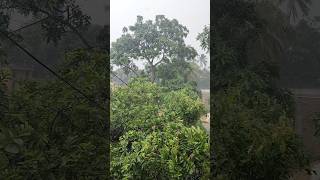 aakhir mein barish AA hi gayashortvideo [upl. by Odranreb]