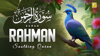 Beautiful Quran Recitation in the World 2024  Surah ArRahman سورة الرحمن  Zikrullah TV [upl. by Yditsahc872]