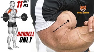 11 BEST BICEPS WORKOUT WITH BARBELL ONLY AT HOME TO GET BIGGER ARMS FAST [upl. by Guenevere]