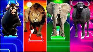 🐂 Ferdinand 🆚 🦁 The Lion King 🆚 🐘 Funny Elephant 🆚 🦬 Funny Buffalo  Tiles Hop EDM Rush [upl. by Ansley230]