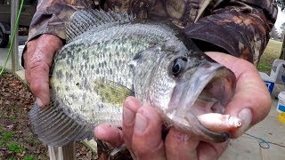 Crappie Fishing With A Bobber and Live Minnows [upl. by Ethelstan59]