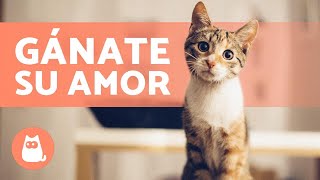 ¿Cómo hacer que tu GATO te QUIERA 😻 4 Consejos para conseguirlo [upl. by Yonah5]