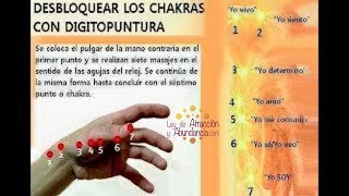 Desbloquear Los Chakras Con Digitopuntura [upl. by Burtie80]