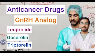 Anticancer Drugs  GnRH Analog  Leuprolide  Goserelin  Triptorelin [upl. by Akemahs]