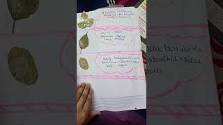 how to make herbarium file  science project  like share and subscribe [upl. by Kcirad]