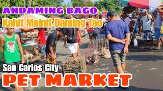 PET MARKET DITO SA PANGASINAN  Maraming bAgo  UPDATE LANG PO TAYO 2023 [upl. by Dlareme]