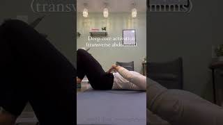 Isolated Transverse Abdominis Activation [upl. by Aytida29]