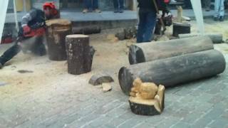 Sculture in legno fatte con motosega [upl. by Friedly]