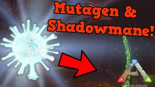 How to Gather Mutagel the Correct Way amp Shadowmane Tame  ARK Survival Evolved Genesis 2 DLC [upl. by Coletta]