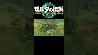 ゼルダの伝説 TotK【ハテノ砦に平和を！】short [upl. by Feil]