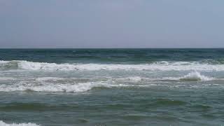 The Beach at Robert Moses State Park Field 3 [upl. by Nalid119]