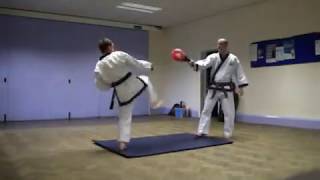 Soo Bahk Do  Tang Soo Do Kicking Drills [upl. by Eisseb200]