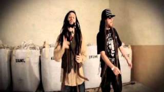 Alborosie Ganja Don  NEW HOT VIDEO  2010 [upl. by Hellene621]