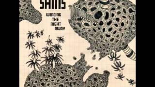 The Shins  Girl Sailor [upl. by Ahsiloc]