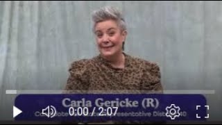 Why Carla Gericke is Running for Office The Reason Will Surprise You [upl. by Kazue]